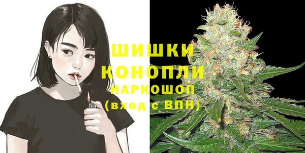 прущие крисы Арсеньев