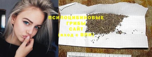 дурь Балахна